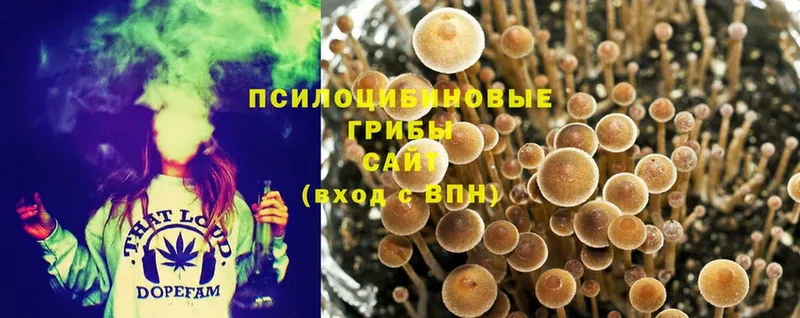 Псилоцибиновые грибы MAGIC MUSHROOMS  OMG ONION  Холм 